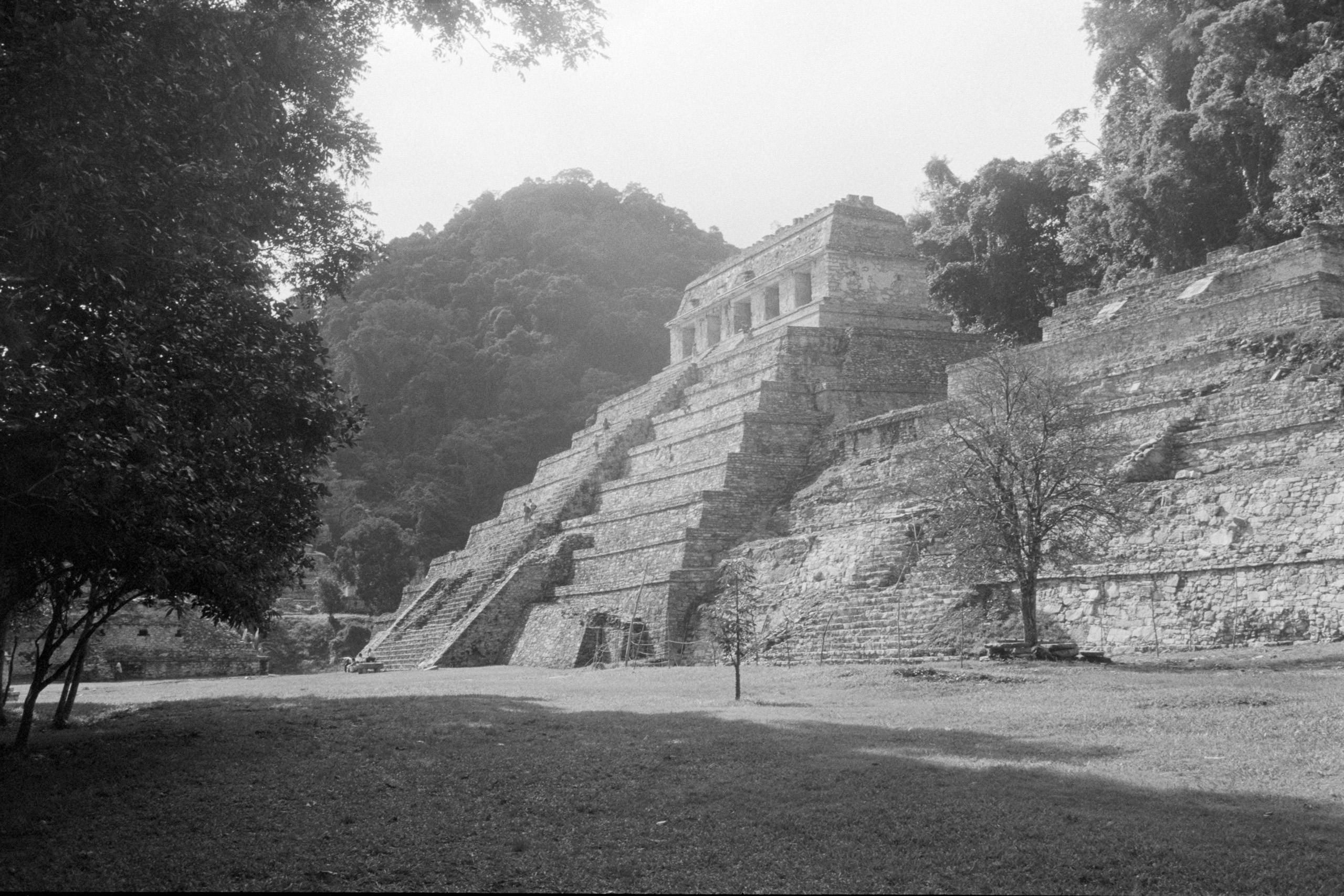 AHP FilmScan 240807 0638